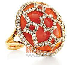 ����һ��