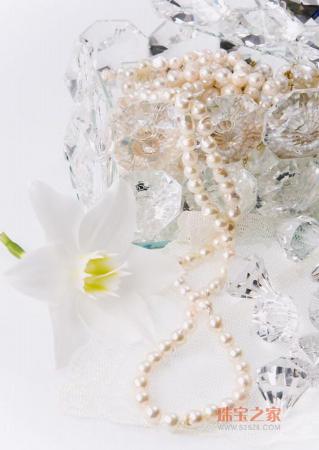 �ҵ�����Ҫ�е��鱦PP