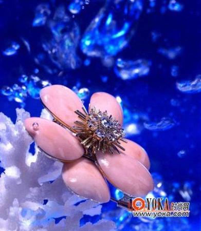 �������鱦��