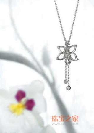 ���㰮�����ֵľ�������