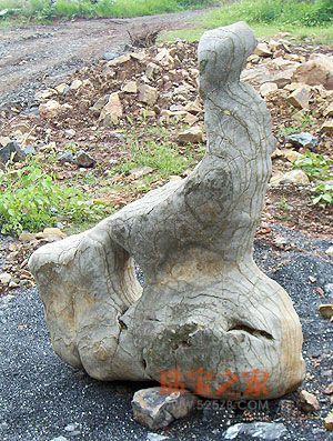 �벻����ʯͷ