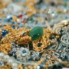 �ۻ�����