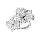 �������鱦��