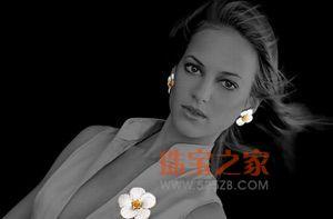 ������Σ��ͷ��� ɢ����������