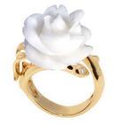 �������鱦��