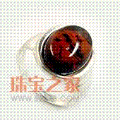 ������Щ������������