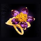 ��ϲ�����鱦2