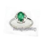 ��ĸ������