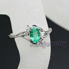 ��ĸ������